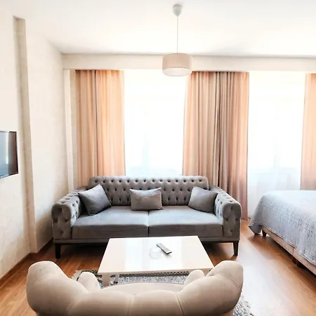 Hotel Sabiha Gokcen Airport Provincia di Istanbul