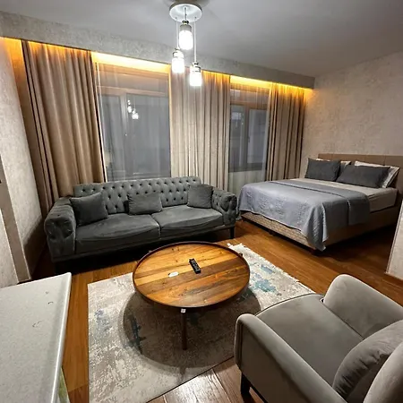 Sabiha Gokcen Airport מלון 3*