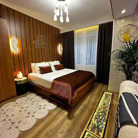 מלון Sabiha Gokcen Airport 3*