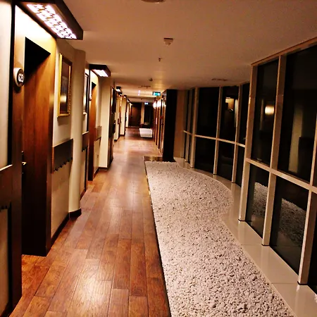 Sabiha Gokcen Airport איסטמבול