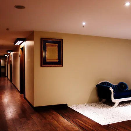 מלון Sabiha Gokcen Airport 3*